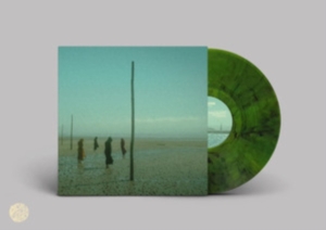 Devils Witches - In All Her Forms (Green/Black Marbl in the group VINYL / Hårdrock at Bengans Skivbutik AB (4180182)