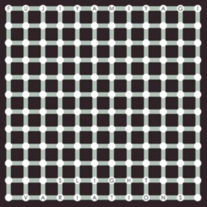 Fujiya & Miyagi - Slight Variations in the group CD / Pop-Rock at Bengans Skivbutik AB (4181324)