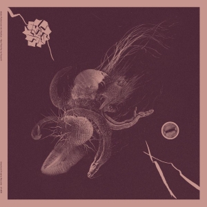 Turner Aaron & Jon Mueller - Now That You've Found It in the group VINYL / Hårdrock at Bengans Skivbutik AB (4182012)