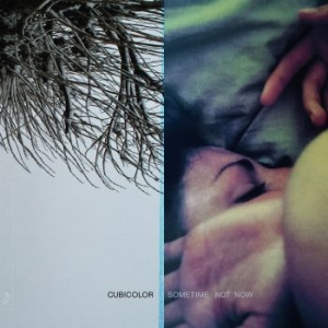 Cubicolor - Sometime Not Now in the group VINYL / Pop-Rock at Bengans Skivbutik AB (4182280)