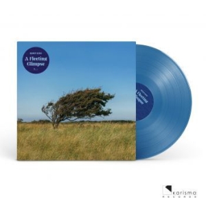 Riis Bjïrn - A Fleeting Glipse (Transparent Blue in the group VINYL / Pop-Rock at Bengans Skivbutik AB (4182303)