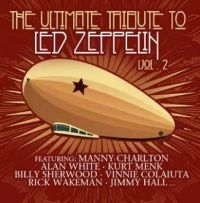 Various Artist - Led Zeppelin - Ultimate Tribute 2 in the group VINYL / Pop-Rock at Bengans Skivbutik AB (4182912)