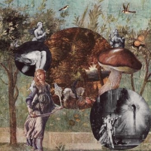 Native Harrow - Old Kind Of Magic in the group VINYL / Pop-Rock at Bengans Skivbutik AB (4183101)