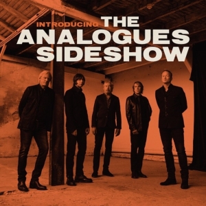 Analogues Sideshow - Introducing The Analogues Sideshow in the group VINYL / Pop-Rock at Bengans Skivbutik AB (4183356)