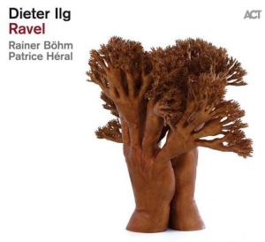 Ilg Dieter - Ravel in the group CD / Jazz at Bengans Skivbutik AB (4183598)