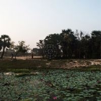 Korwar Sarathy - Kalak (Indie Exclusive, Dark Green in the group VINYL / Jazz,Pop-Rock at Bengans Skivbutik AB (4183855)