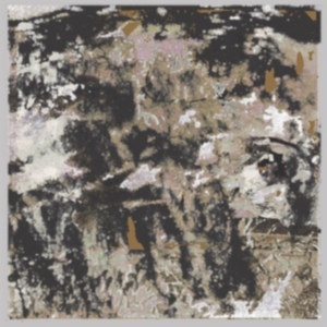 James Loraine - Building Something Beautiful For Me in the group VINYL / Pop-Rock at Bengans Skivbutik AB (4183888)