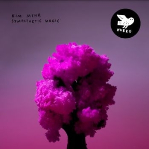 Myhr Kim - Sympathetic Magic in the group CD / Jazz/Blues at Bengans Skivbutik AB (4183929)