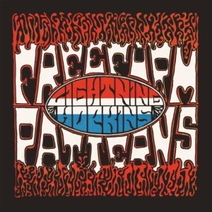 Lightnin' Hopkins - Free Form Patterns in the group CD / Blues,Jazz at Bengans Skivbutik AB (4184263)