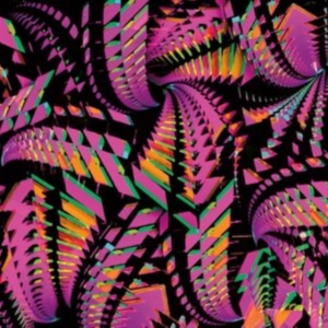 Bitchin Bajas - Bajascillators in the group VINYL / Pop-Rock at Bengans Skivbutik AB (4185378)