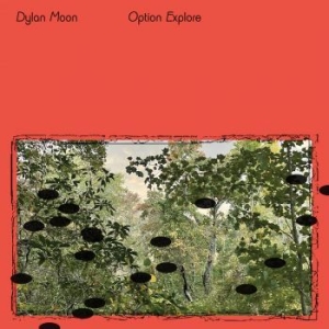 Dylan Moon - Option Explore in the group VINYL / Dance-Techno at Bengans Skivbutik AB (4185448)