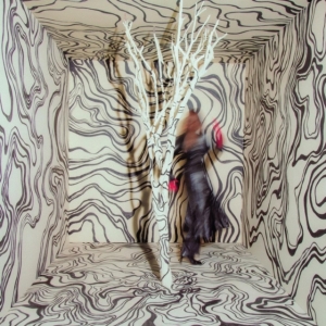 Madison Cunningham - Revealer in the group VINYL / Jazz at Bengans Skivbutik AB (4186022)