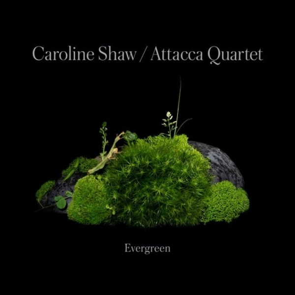 Caroline Shaw & Attacca Quarte - Caroline Shaw: Evergreen in the group CD / Bestsellers at Bengans Skivbutik AB (4187035)