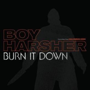Boy Harsher - Burn It Down in the group VINYL / Pop-Rock at Bengans Skivbutik AB (4189227)