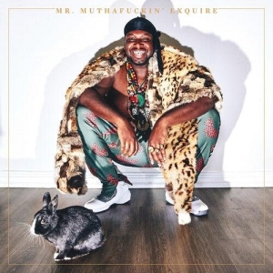 Mr. Muthafuckin´exquire - Mr. Muthafuckin´exquire (Orange vinyl) in the group OTHER / Övrigt /  at Bengans Skivbutik AB (4190311)