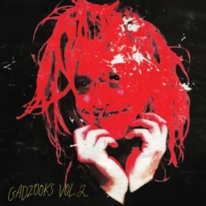 Caleb Landry Jones - Gadzooks Vol. 2 (Ltd Red Vinyl) in the group VINYL / Pop-Rock at Bengans Skivbutik AB (4191732)