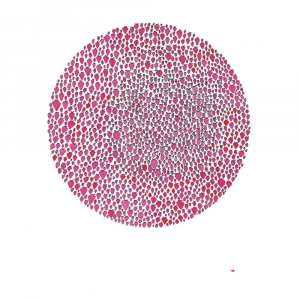 Brown Julia - An Abundance Of.. in the group Pop-Rock at Bengans Skivbutik AB (4192994)