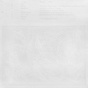 Popp - Blizz in the group OTHER / Övrigt /  at Bengans Skivbutik AB (4193892)