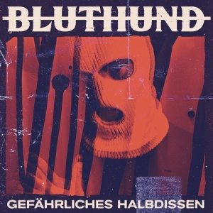 Bluthund - Gefahrliches Halbdissen in the group CD / Hip Hop-Rap at Bengans Skivbutik AB (4194688)