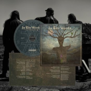 In The Woods... - Diversum in the group CD / Hårdrock/ Heavy metal at Bengans Skivbutik AB (4196529)