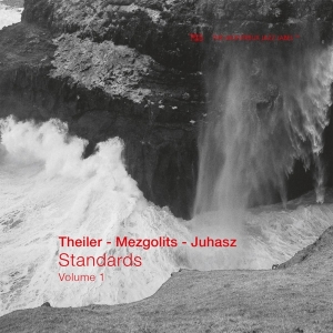 Theiler/Mezgolits/Juhasz - Standards - Volume 1 in the group CD / Jazz at Bengans Skivbutik AB (4196648)