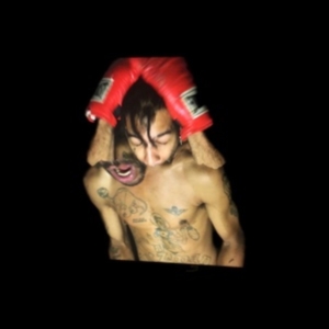 Velvet Negroni - Bulli in the group CD / Pop-Rock at Bengans Skivbutik AB (4199099)