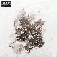Mcloughlin Sam & David Chatton Bark - Environmental Meditation Music (Emm in the group VINYL / Dans/Techno at Bengans Skivbutik AB (4200016)