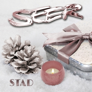 Seer - Stad in the group CD / Dance-Techno at Bengans Skivbutik AB (4201237)