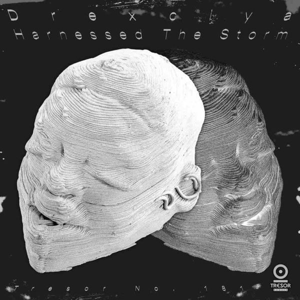 Drexciya - Harnessed The Storm in the group VINYL / Dans/Techno at Bengans Skivbutik AB (4204778)