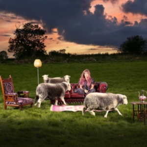 Salomon Fe - Living Rooms in the group VINYL / Pop-Rock at Bengans Skivbutik AB (4204813)