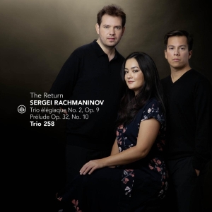 Trio 258 - Return in the group CD / Klassiskt,Övrigt at Bengans Skivbutik AB (4205159)