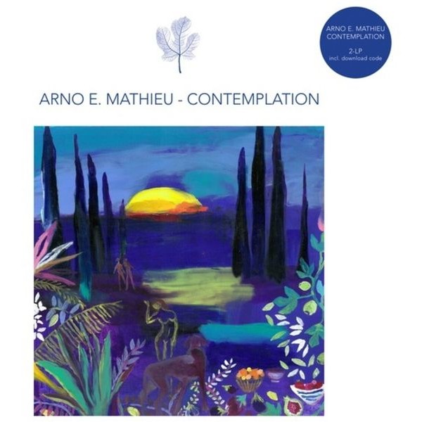 Arno E. Mathieu - Contemplation in the group VINYL / Pop at Bengans Skivbutik AB (4205698)