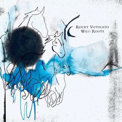 Rocky Votolato - Wild Roots in the group VINYL / Pop at Bengans Skivbutik AB (4206462)
