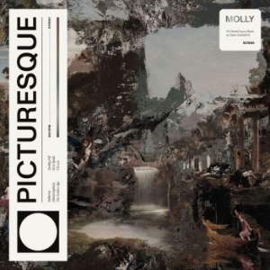 Molly - Picturesque in the group CD / Pop-Rock at Bengans Skivbutik AB (4206523)