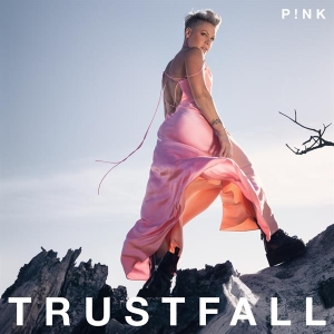 P!Nk - Trustfall in the group VINYL / Pop-Rock at Bengans Skivbutik AB (4207201)