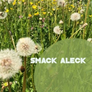 Smack Aleck - Unavoidable in the group CD / Jazz/Blues at Bengans Skivbutik AB (4208155)