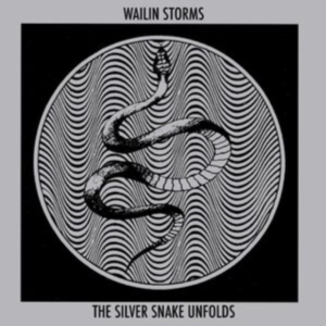 Wailin Storms - The Silver Snake Unfolds in the group CD / Pop-Rock at Bengans Skivbutik AB (4208436)