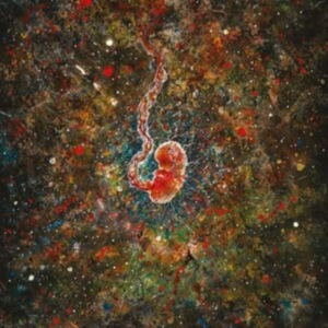 Iterum Nata - Trench Of Loneliness in the group CD / Pop-Rock,Svensk Folkmusik at Bengans Skivbutik AB (4208453)