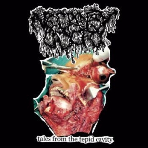 Necropsy Odor - Tales From The Tepid Cavity in the group VINYL / Hårdrock/ Heavy metal at Bengans Skivbutik AB (4208686)