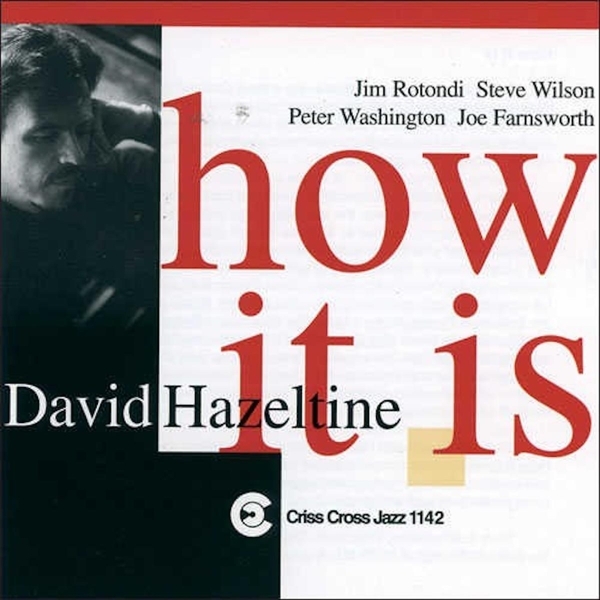 Hazeltine David - How It Is in the group CD / Bestsellers at Bengans Skivbutik AB (4211764)