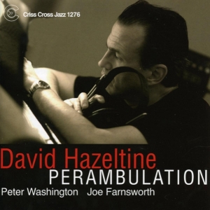 Hazeltine David -Trio- - Perambulation in the group CD / Jazz at Bengans Skivbutik AB (4211836)