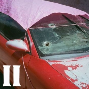 Pure Adult - Ii in the group VINYL / Pop-Rock at Bengans Skivbutik AB (4213628)