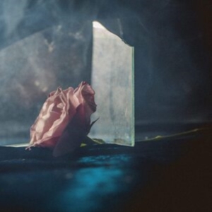 Lee Ranaldo - In Virus Times in the group OTHER / Övrigt / at Bengans Skivbutik AB (4216391)