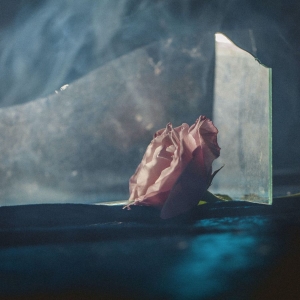 Ranaldo Lee - In Virus Times in the group OTHER / Övrigt /  at Bengans Skivbutik AB (4216391)