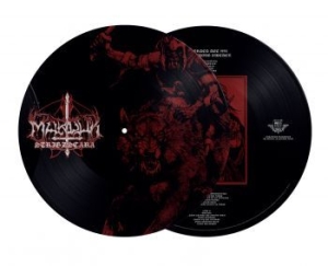 Marduk - Strigzscara Warwolf Live 1993 (Pic. in the group Minishops / Marduk at Bengans Skivbutik AB (4217283)
