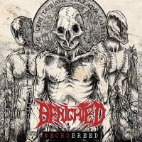 Benighted - Necrobreed in the group VINYL / Hårdrock at Bengans Skivbutik AB (4217291)