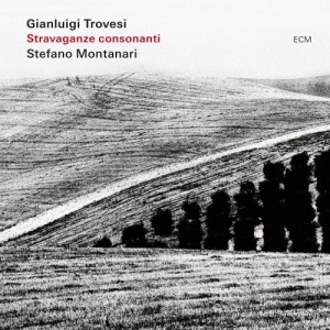 Trovesi Gianluigi Montanari Stef - Stravaganza Consonanti in the group CD / Jazz/Blues at Bengans Skivbutik AB (4218221)