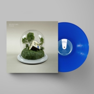 Fenne Lily - Big Picture (Ltd Ultramarine Vinyl) in the group VINYL / Pop-Rock at Bengans Skivbutik AB (4220614)