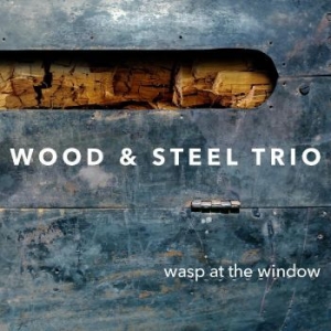 Wood & Steel Trio - Wasp At The Window in the group CD / Jazz/Blues at Bengans Skivbutik AB (4222008)
