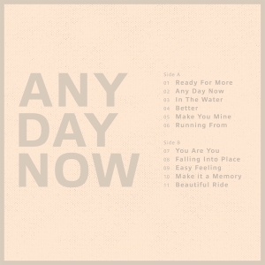 Krezip - Any Day Now (Crystal Clear Vinyl) in the group VINYL / Pop-Rock at Bengans Skivbutik AB (4222169)
